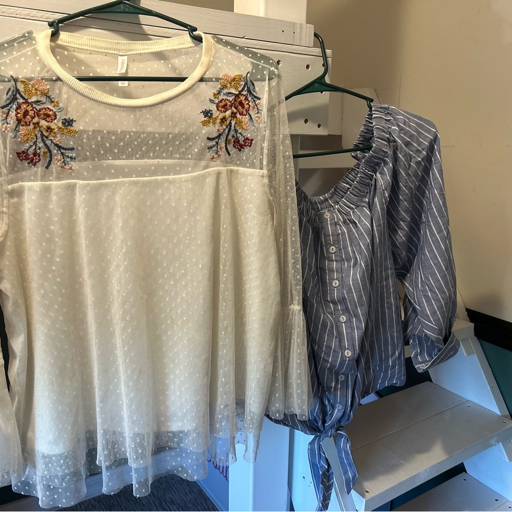 Floral Embroidered Sheer White Blouse and Blue Striped Top Bundle